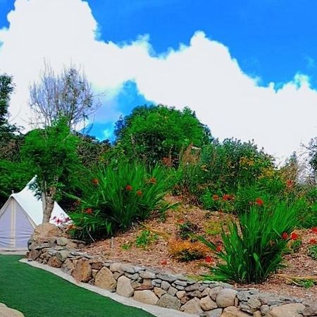 Hotel Fairy Cove At Rosemount Glamping Carlingford Exterior foto