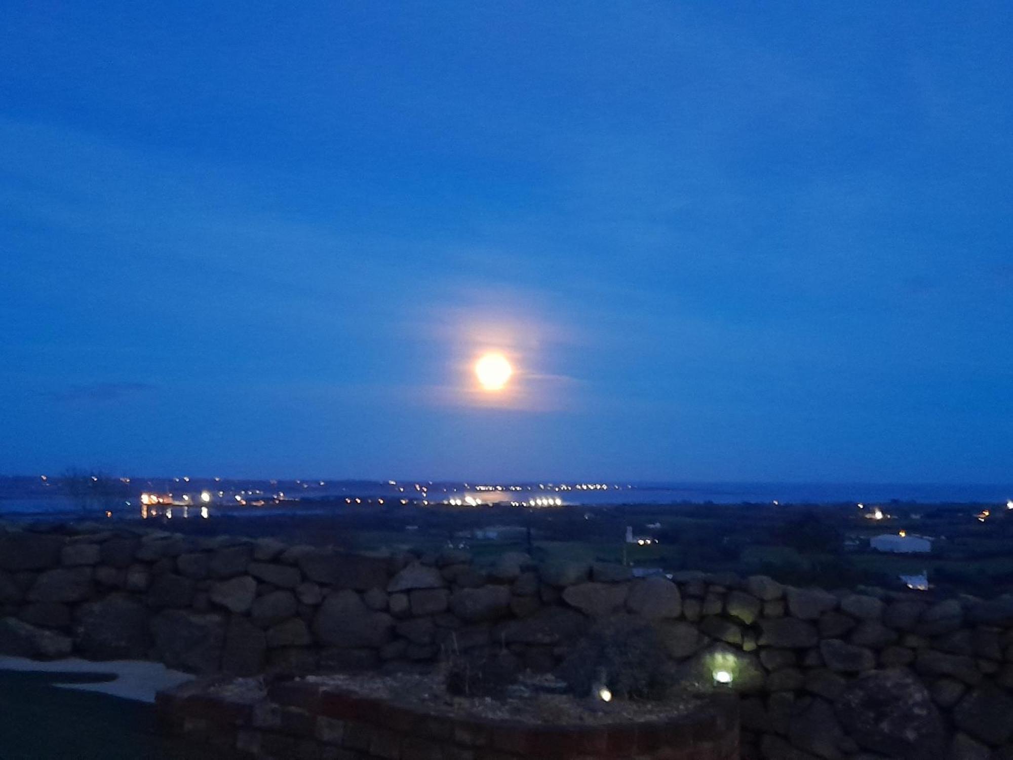 Hotel Fairy Cove At Rosemount Glamping Carlingford Exterior foto