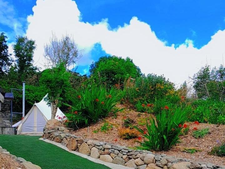 Hotel Fairy Cove At Rosemount Glamping Carlingford Exterior foto